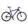 E-Bikes