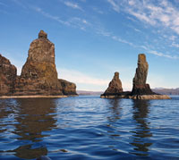 Sea Skye Boat Trips | Carbost Sea Skye Boat Trips | Carbost